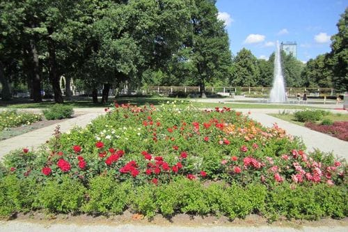 Rosengarten mit Wasserfontänen