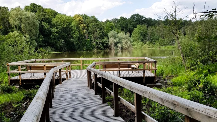 Hölzerner Steg mit Geländer führt über sumpfiges Gelände zum Teufelssee, umgeben von dichtem grünem Wald in den Müggelbergen. Am Ende des Stegs befindet sich eine Aussichtsplattform mit Bänken, die einen Blick auf den ruhigen See ermöglicht.