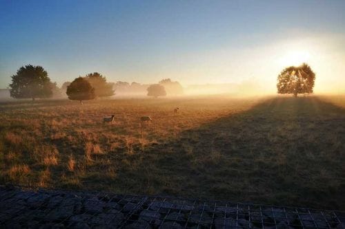 Landschaftspark Johannisthal (Ehemaliges Flugfeld)