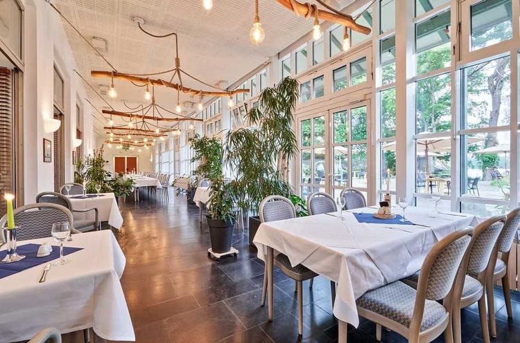 Restaurant im Waldhotel am See mit weißen Tischdecken und grauen Stühlen in einem hellen Wintergarten mit großen Fenstern. Der Raum ist mit Lichterketten und Grünpflanzen dekoriert und bietet Blick ins Grüne.